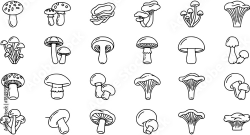 Collection of 49 Outline Icons Representing Various Types of Mushrooms