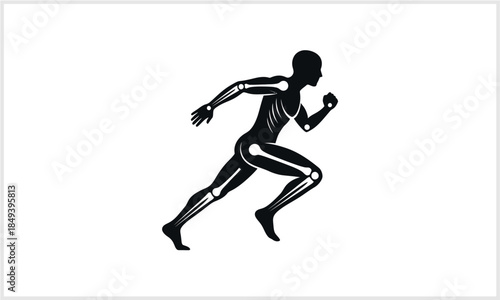 Running Human Skeleton Anatomy Icon - Athletic Body Bones Joints Movement Health Sport logotypeicons.