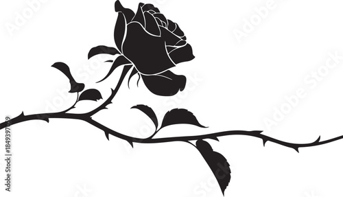 Black silhouette of a rose on a thorny branch flower
