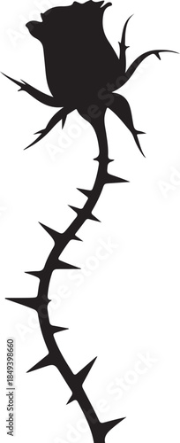 Black silhouette of a rose with thorns white
