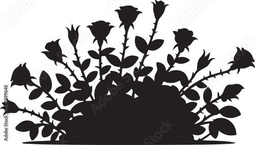 Black silhouette of rose bush with blooming flowers