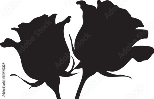 Black silhouette of two rose buds on white background