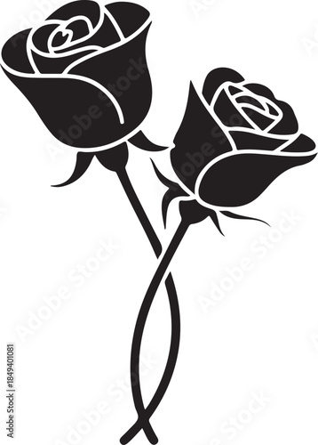 Two black roses with intertwined stems flower white