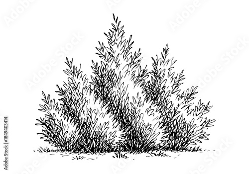 Bush cluster hand drawn simple sketch vector illustration
