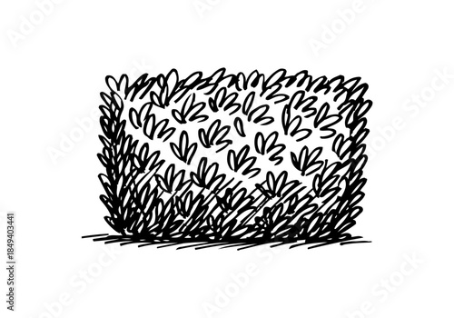 Bush cluster hand drawn simple sketch vector illustration