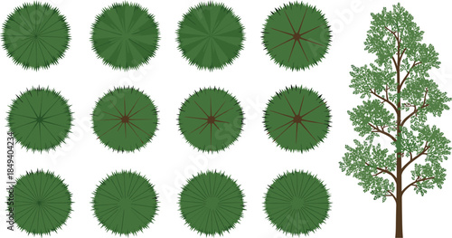 Top view tree canopy set, forest landscaping elements, green foliage collection, aerial trees illustration, urban planning design, park map symbols, vector nature assets