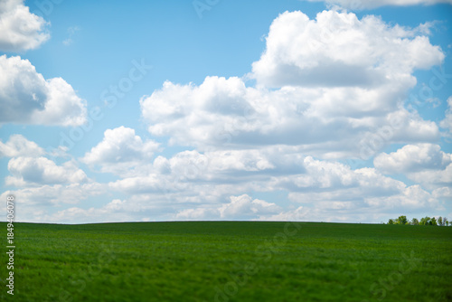 Fototapeta Naklejka Na Ścianę i Meble -  Grass clouds sky bright summer day over vast green meadow with copy space