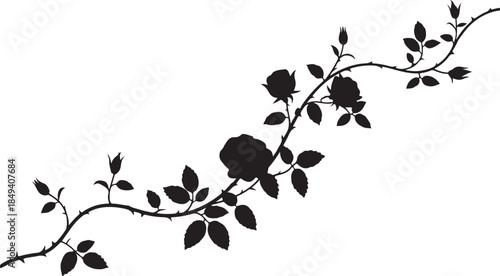 Black silhouette of a rose vine with buds and leaves
