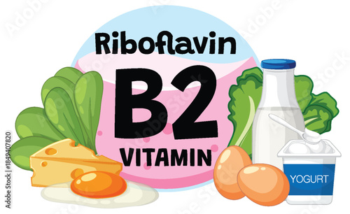 Vitamin B2 Riboflavin Sources with Dairy, Eggs, and Greens