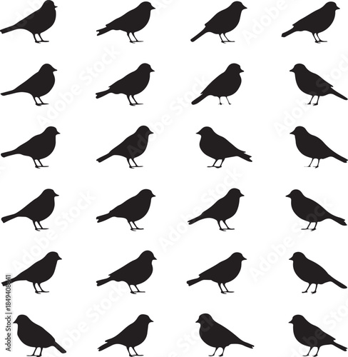 Seamless pattern with a set of black bird silhouettes and flying wildlife animals, including a sparrow and pigeon vector illustration for nature design