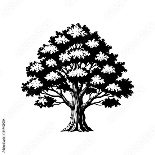 Large Oak Tree Crown Nature Plant Wood Black Silhouette Vector Icon Isolated on White Background for Landscape Design