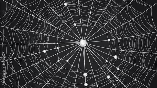 Intricate spider web with dew drops on black background
