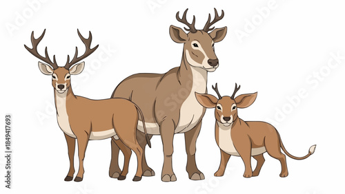 deer vector illustration