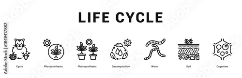 Life Cycle Modern and clean web banner illustration featuring thematic icons for visual communication