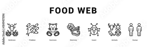 Food Web Modern and clean web banner illustration featuring thematic icons for visual communication