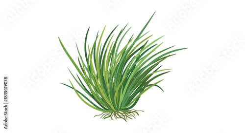 Vibrant green grass illustration showcasing lush blades and intricate root structure, an emblem of natural growth and vitality. This botanical