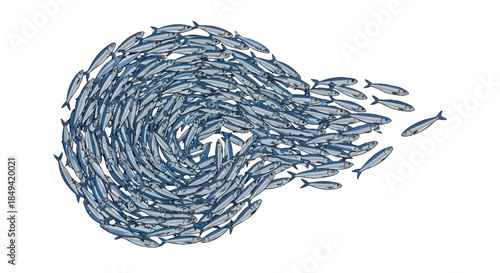 Dynamic school of silver fish forms an intricate swirling vortex pattern against a clean white background illustrating collective motion and aquatic