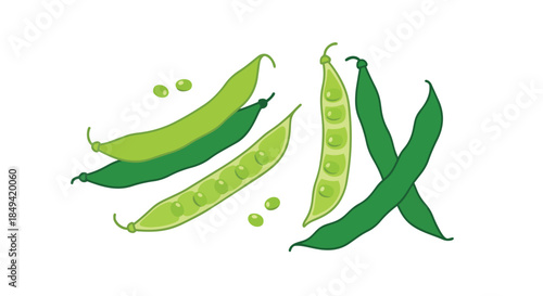 Fresh green garden peas and vibrant pods depicted in a charming illustration, showcasing nature's healthy bounty ready for culinary delight for