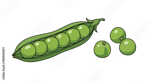Vibrant green peas nestled in an opened tender pod alongside several loose, fresh, spherical seeds, illustrating natural bounty and wholesome garden