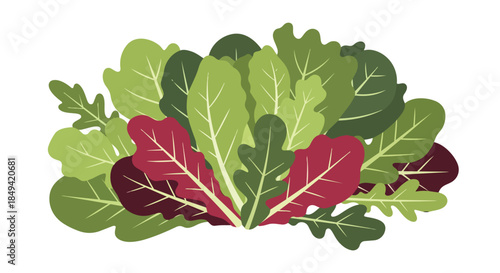 A vibrant digital illustration of an abundant fresh salad mix featuring diverse leafy greens in lush green and striking red hues perfect for healthy