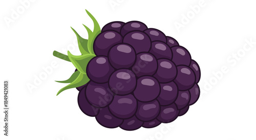 A vibrant, richly colored blackberry illustration with distinct purple segments and green sepals. This graphic embodies natural fresh, wholesome