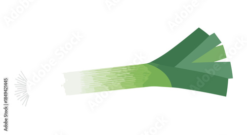 A vibrantly depicted fresh green leek illustration, showcasing its distinct light and dark green leaves with a white base, perfect for culinary and