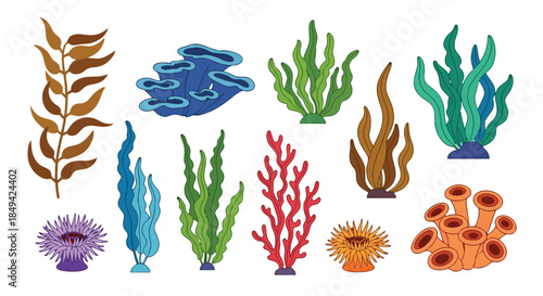 Diverse collection of vibrant marine flora and fauna illustrations showcasing an assortment of colorful ocean life forms for ecological