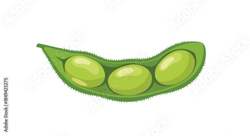 This crisp, vibrant green soybean pod, freshly opened to display three perfectly formed, glossy, light-green edamame beans, symbolizes pure,