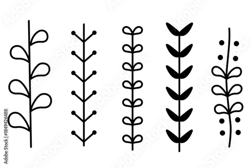 手描きあしらい05　植物モチーフのライン