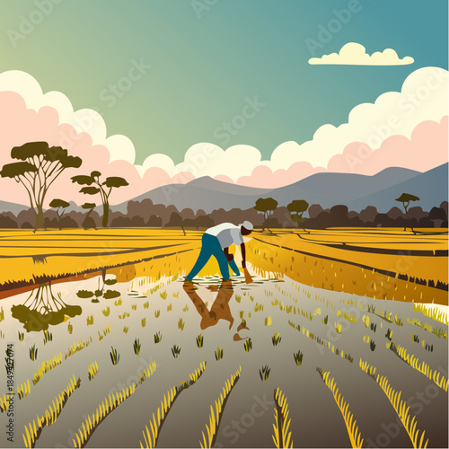 Rice farmer diligently planting seedlings in a flooded paddy field under a serene sky with distant mountains and acacia trees, showcasing agricultural labor and a rural landscape