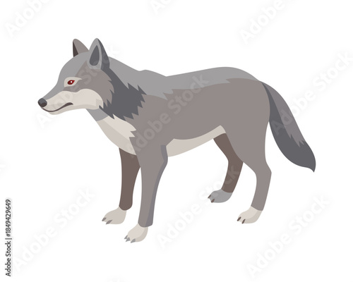 Wolf, flat 2D isometric cartoon vector image isolated on white background.
