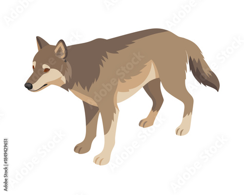 Wolf, flat 2D isometric cartoon vector image isolated on white background.