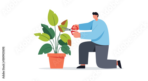 Caring for green foliage by expertly pruning a potted houseplant to encourage healthy growth and vibrant appearance a devoted individual maintains