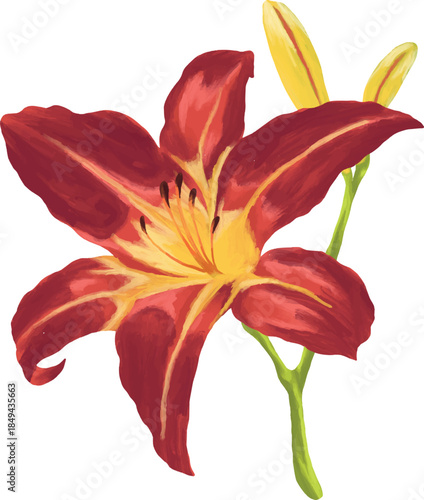 Day Lily Botanical Painting