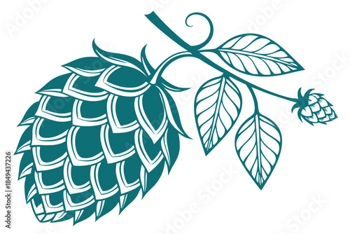 Hops Illustration: A stylish illustration of hops, showcasing the intricate details of a hop cone and leaves, symbolizing brewing and the art of crafting beer.