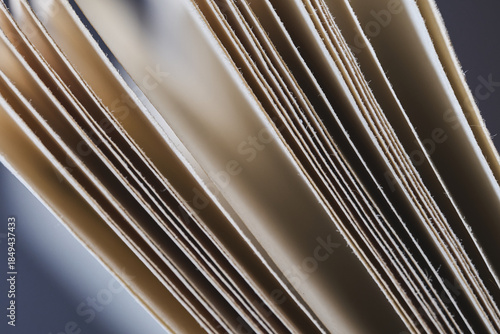 Pages of a book showing close up detail in natural light