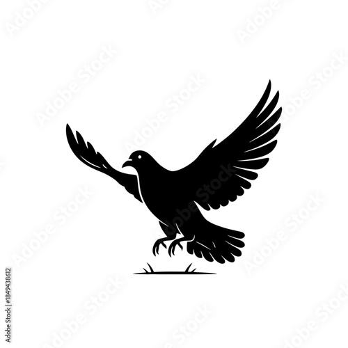 Dove taking flight from the ground vector illustration