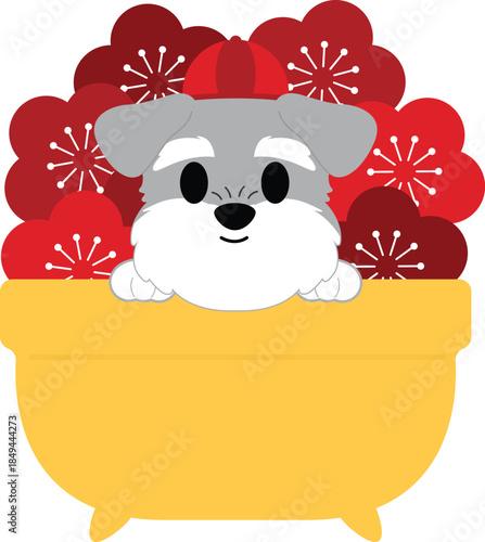 Adorable Schnauzer Dog with Red Blossoms in a Pot