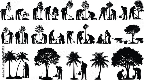 Silhouettes of People Planting Trees, Watering Saplings, Gardening, and Reforestation Efforts, Illustrating Growth, Nature Conservation, and Environmental Responsibility.