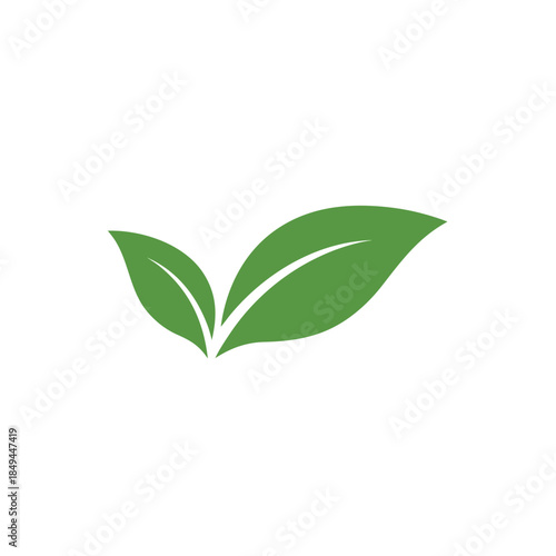 Eco-Friendly Green Leaves Vector Icon Illustration for Nature, Organic Food Logo, Wellness, Sustainability, Herbal Medicine, Environmentally Friendly Products, and Botanical Graphic Design Elements.