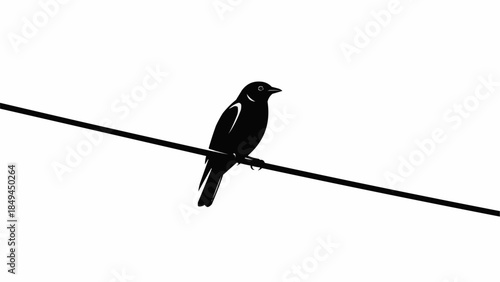 Silhouette of a small bird perched on a wire against a white background.
