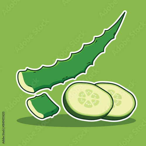 Flat cartoon illustration of aloe vera and cucumber slices on green background