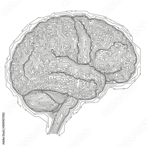human brain vector illustration