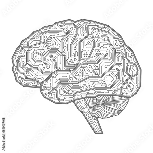 human brain vector illustration