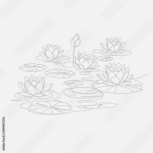 A delicate line drawing of a serene pond filled with blooming water lilies and lily pads.