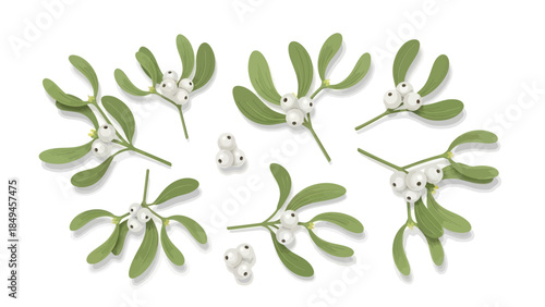 Flat lay of mistletoe branches with white berries on a plain white background, conveying a festive and natural mood for happy new year 2026 celebrations.