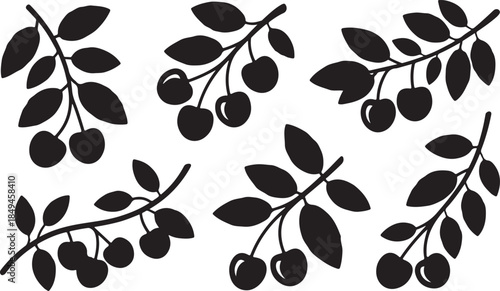 Set of silhouettes of cherry branches with berries and leaves isolated on transparent background flat vector illustration