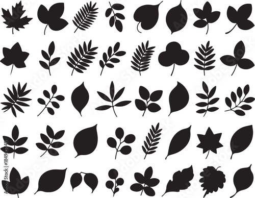 Set of black silhouettes of various tree and plant leaves isolated on a transparent background flat vector illustration