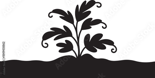 black silhouette of a healthy plant growing in soil with transparent background