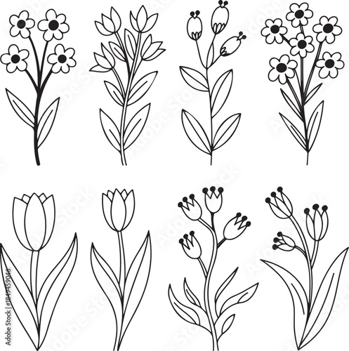 Set of eight outlined floral elements, wildflowers, and blooming flowers on transparent background, vector illustration